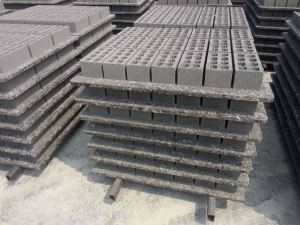 उच्च फायबर पॅलेट